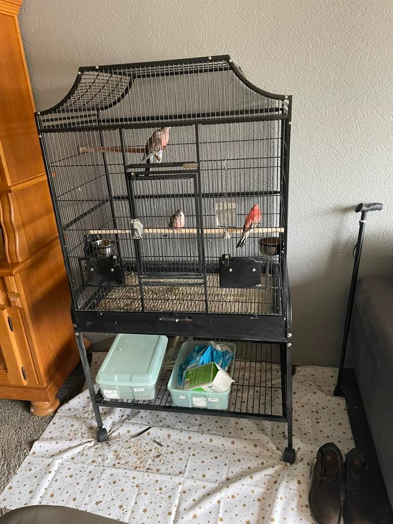 Kooi met 4 parkieten, Dieren en Toebehoren, Vogels | Hokken en Kooien, Ophalen, Gebruikt, Metaal, Vogelkooi