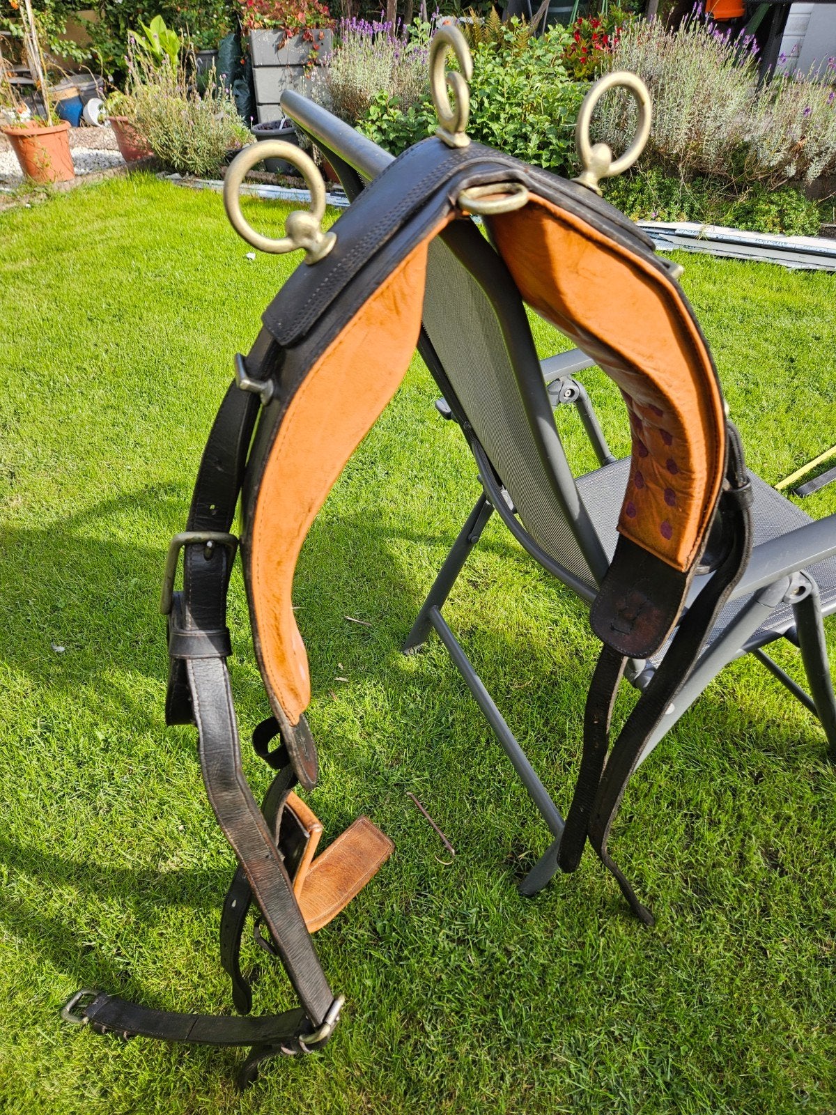 Te koop tuig, Dieren en Toebehoren, Ophalen of Verzenden, Gebruikt