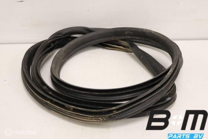 Portierrubber rechtsvoor Skoda Fabia 3 6V0867366D, Auto-onderdelen, Gebruikt
