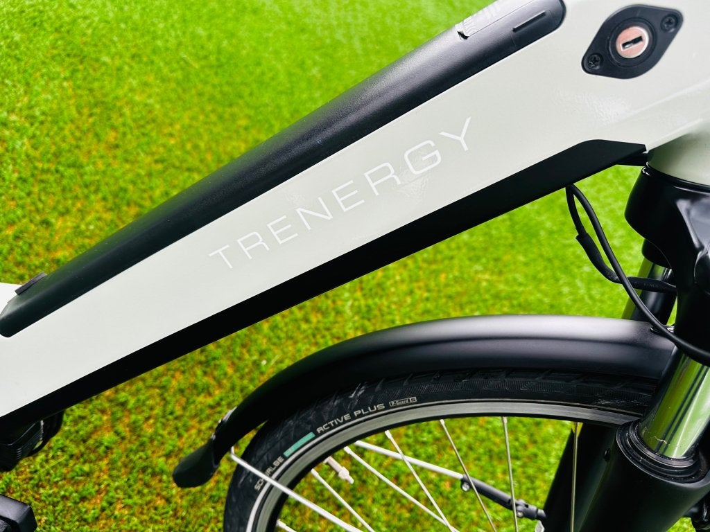 Trenergy performance elektrische Damesfiets Ebike ✅, Gebruikt, Niet ingevuld, Ophalen of Verzenden, 51 tot 55 cm