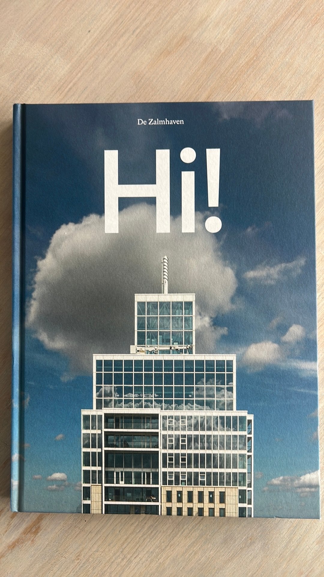 Hi! De Zalmhaven Rotterdam, Ophalen of Verzenden, Zo goed als nieuw, Architecten