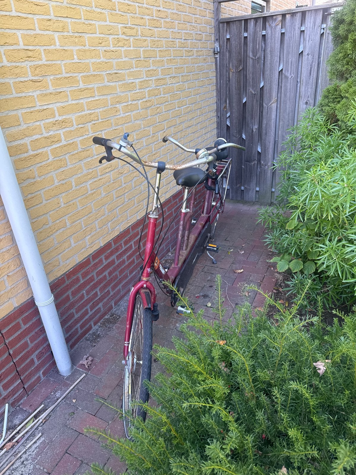 Gebruikte Van Raam tandem - Opknapper, Ophalen, Minder dan 10 versnellingen, Gebruikt, 55 cm of meer
