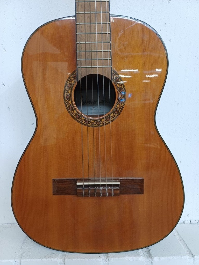 Salvador Cortez SCG-534 gitaar, Muziek en Instrumenten, Ophalen of Verzenden, Gebruikt, Klassieke of Spaanse gitaar