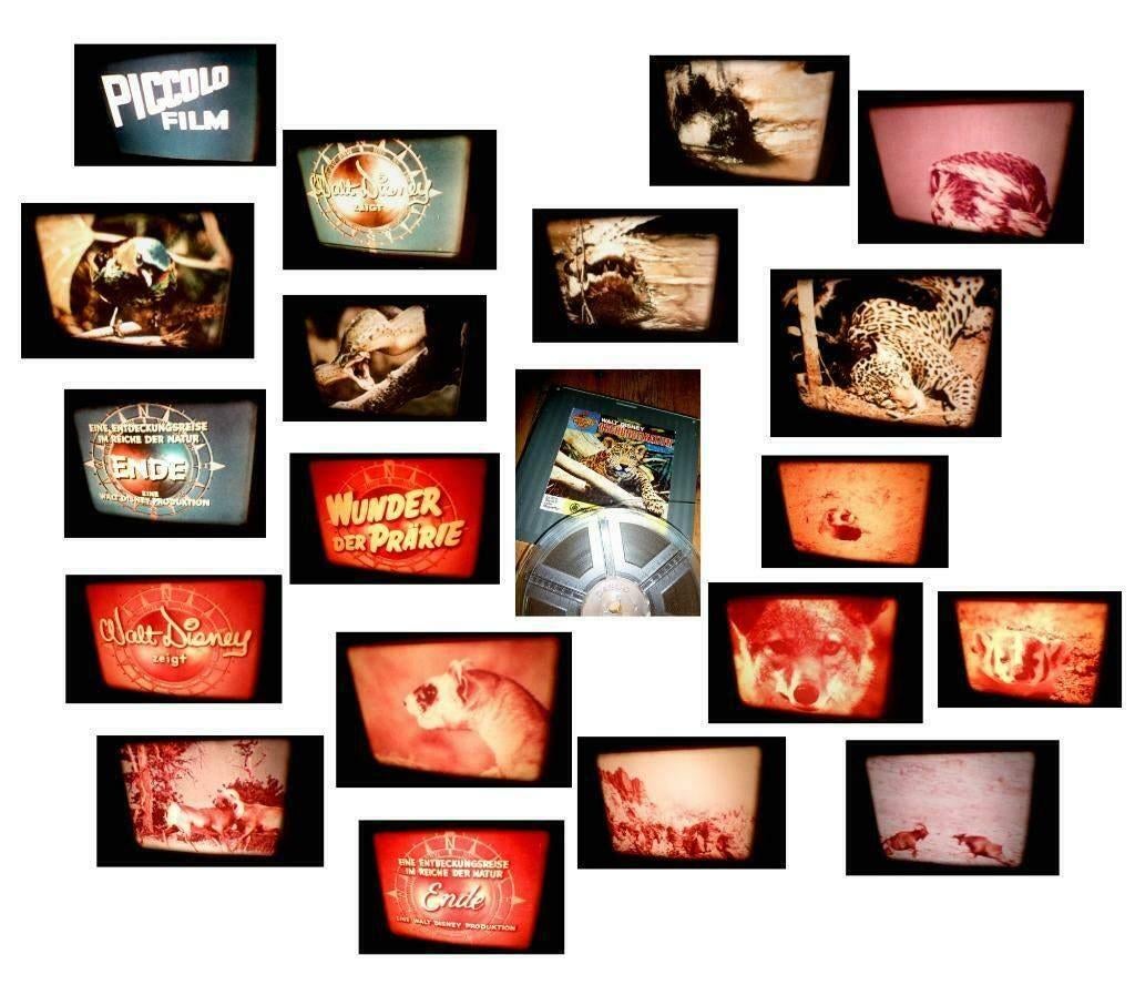 8mm film Wunder der Prarie + Panter op jacht - geluid -, Ophalen of Verzenden, 8mm film