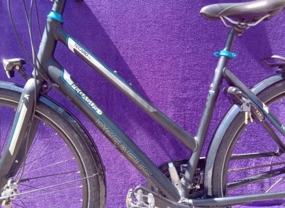 Pegasus Tecaro, Minder dan 10 versnellingen, Zo goed als nieuw, 50 tot 53 cm, Schijfrem