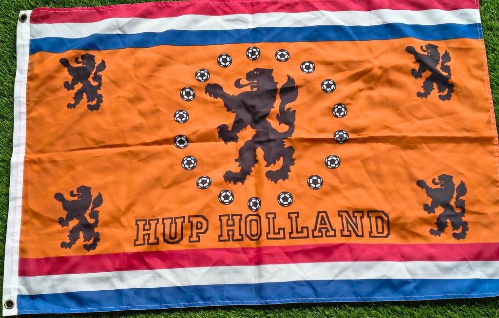 WK Zonnenscherm Auto - Hup Holland Leeuw Voetbal, Ophalen of Verzenden, Nieuw