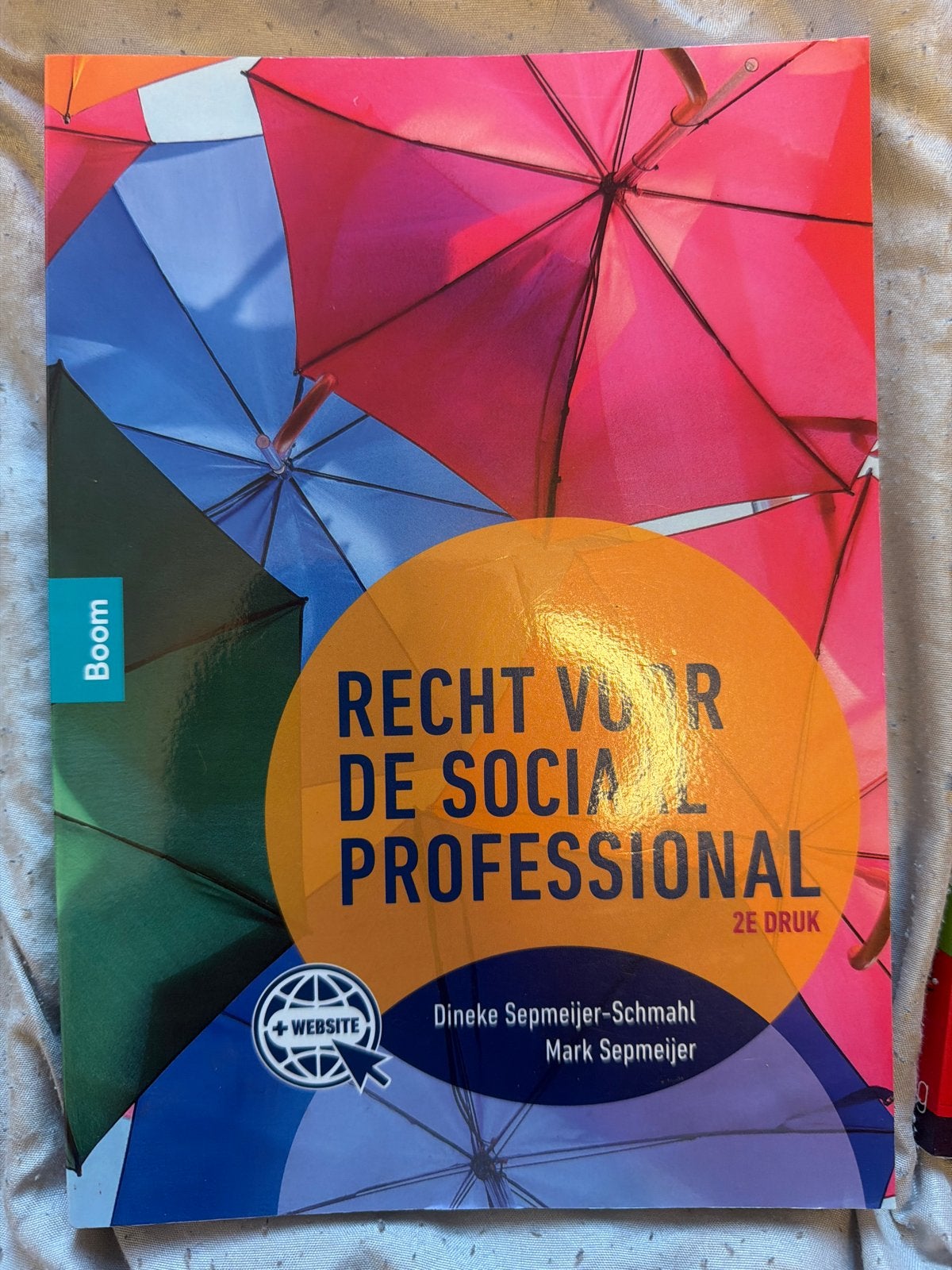 Recht voor de Sociaal Professional - 2e druk, Boeken, Ophalen of Verzenden, Gamma, Zo goed als nieuw, HBO