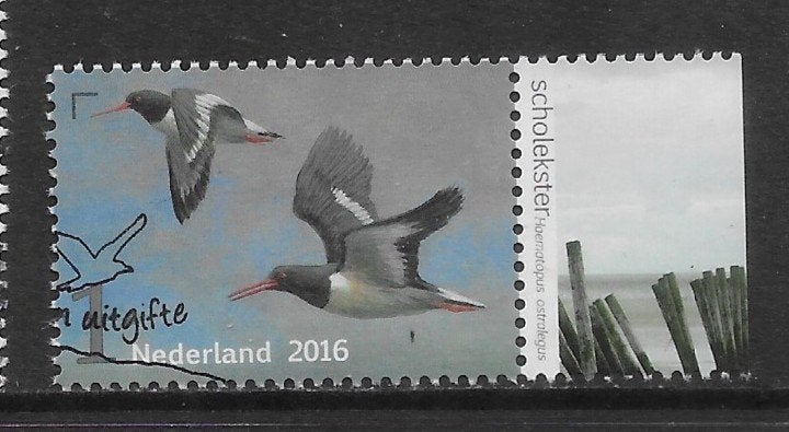 2016, Vogels van het Wad, Scholekster [3402] (K2012), Ophalen of Verzenden