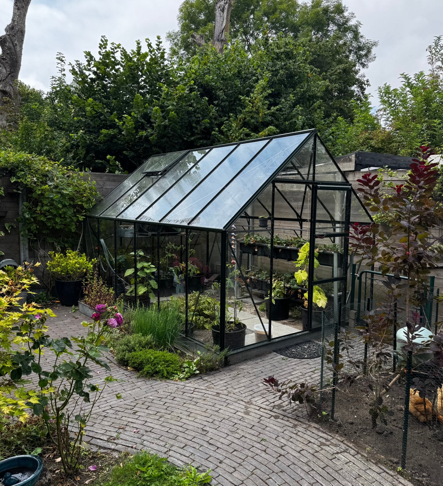 ACD Tuinkas Oliver 257 x 384 cm  Groen RAL6009, Tuin en Terras, Ophalen, Glas, Zo goed als nieuw, Aluminium