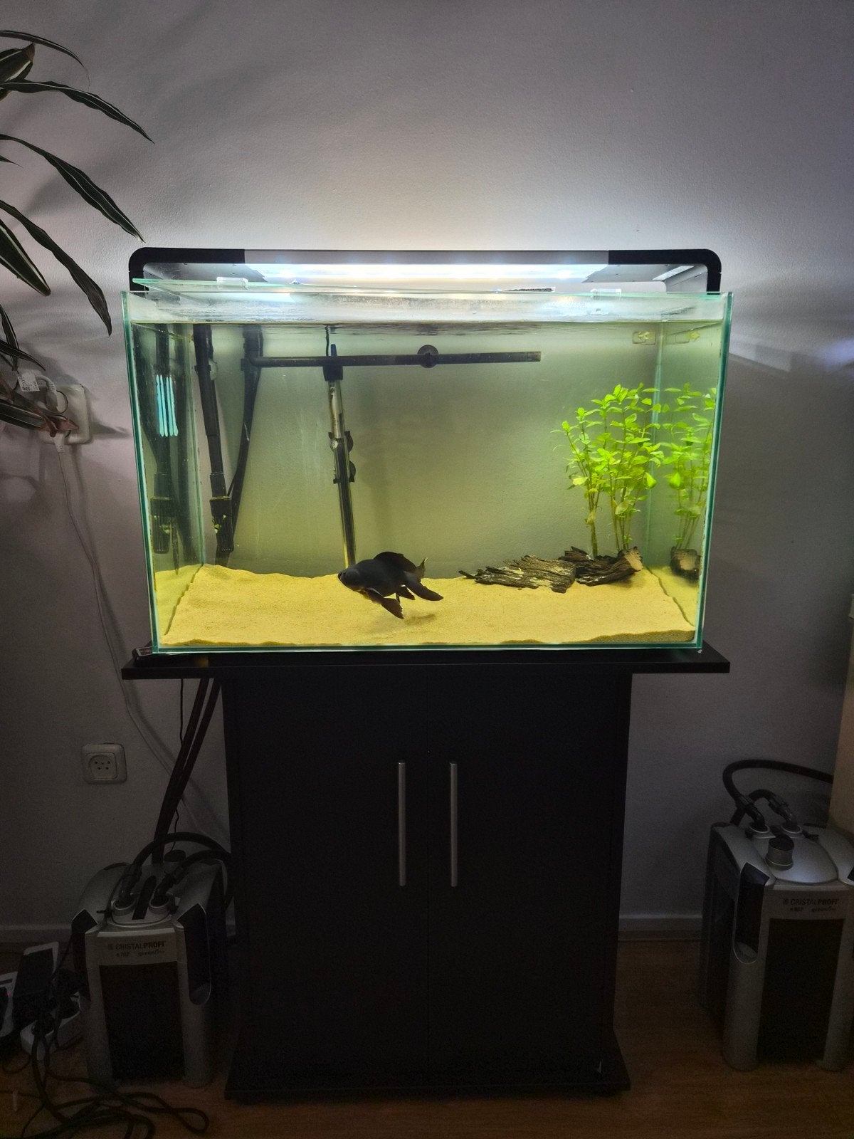 Superfish Home 110 Compleet met Kast & Extern Filter (Ingedr, Dieren en Toebehoren, Ophalen of Verzenden, Leeg aquarium