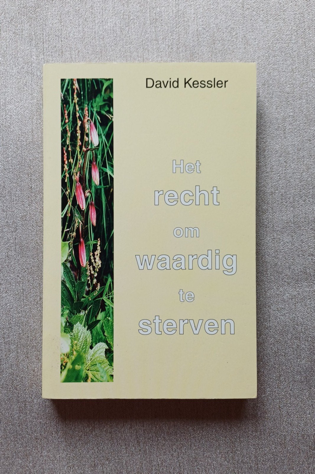 D. Kessler - Het recht om waardig te sterven, 9789020281590, Ophalen of Verzenden, Nieuw, David Kessler