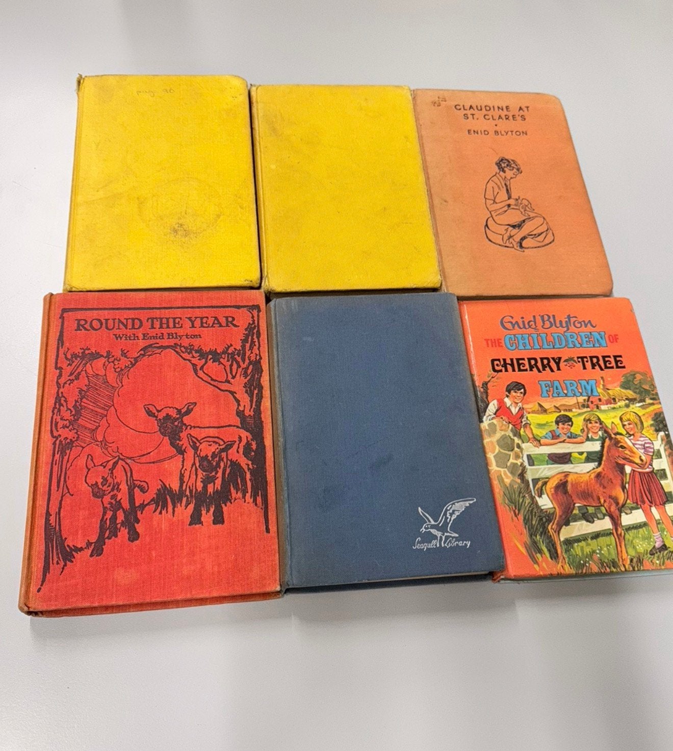6 Hardcover boek Enid Blyton, dog stories, the boy next door, Ophalen of Verzenden, Gelezen