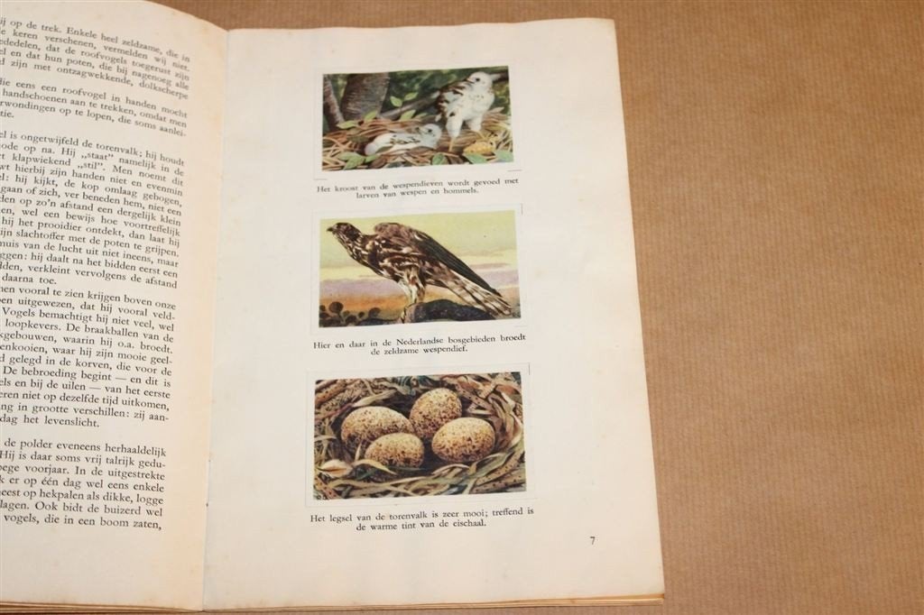 Kromme Snavels & Scherpe Klauwen — Compleet Album 1950, Boeken, Ophalen of Verzenden, Gelezen