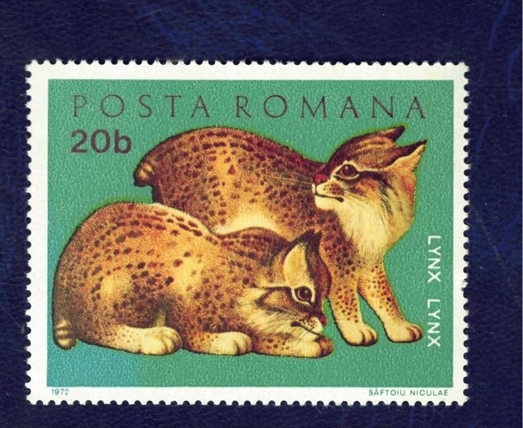 Katachtigen - Roemenia - Jonge Lynxen - 20b - postfris, Ophalen of Verzenden, Postfris, Dier of Natuur