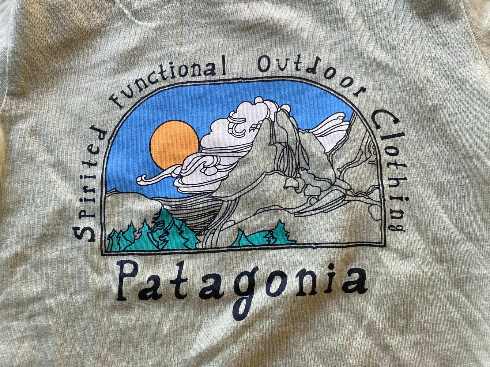 Patagonia T-shirt kind, maat 6-12 maanden, Kinderen en Baby's, Ophalen of Verzenden, Zo goed als nieuw, Jongetje