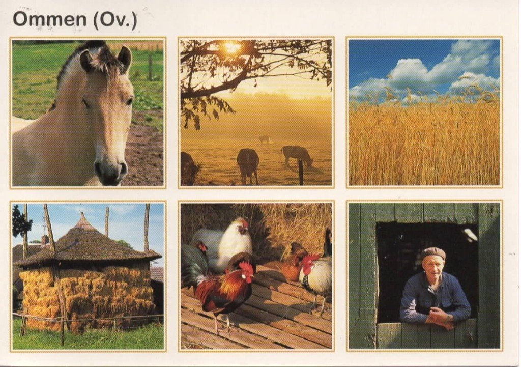 Ansichtkaart Ommen, 6-luik, paard, kippen, zon, Ophalen of Verzenden, 1980 tot heden, Gelopen, Overijssel
