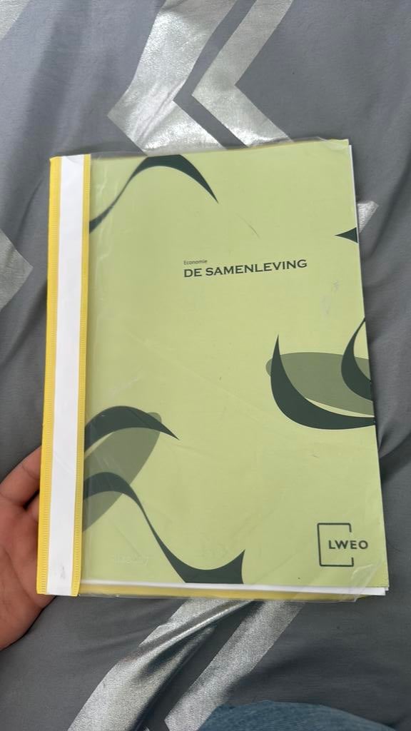 LWEO Economie - De Samenleving, Boeken, Ophalen of Verzenden, Zo goed als nieuw, VWO, Economie
