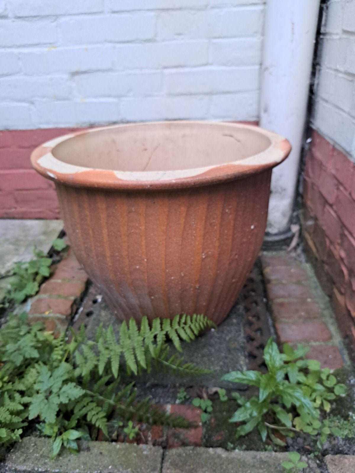 Grote aardewerken bloempot, gebruikt, Ophalen, Gebruikt, 40 cm of meer, Aardewerk
