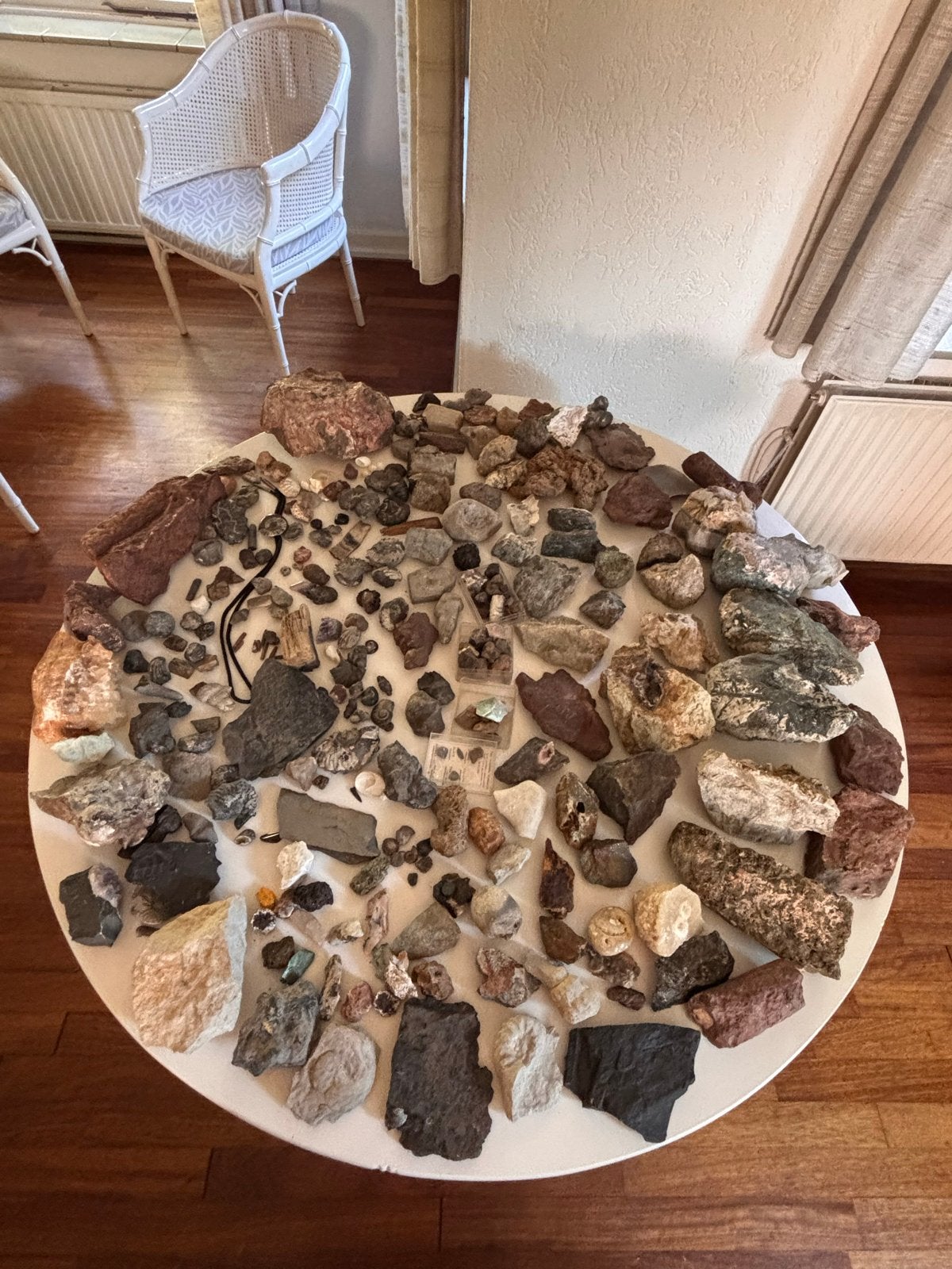 Grote collectie fossielen, mineralen en stenen, Ophalen, Fossiel