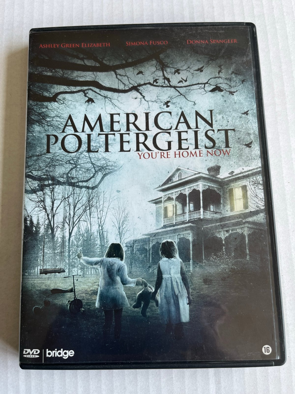 American Poltergeist: You're Home Now DVD, Vanaf 16 jaar, Nederlands, Ophalen of Verzenden, Thriller