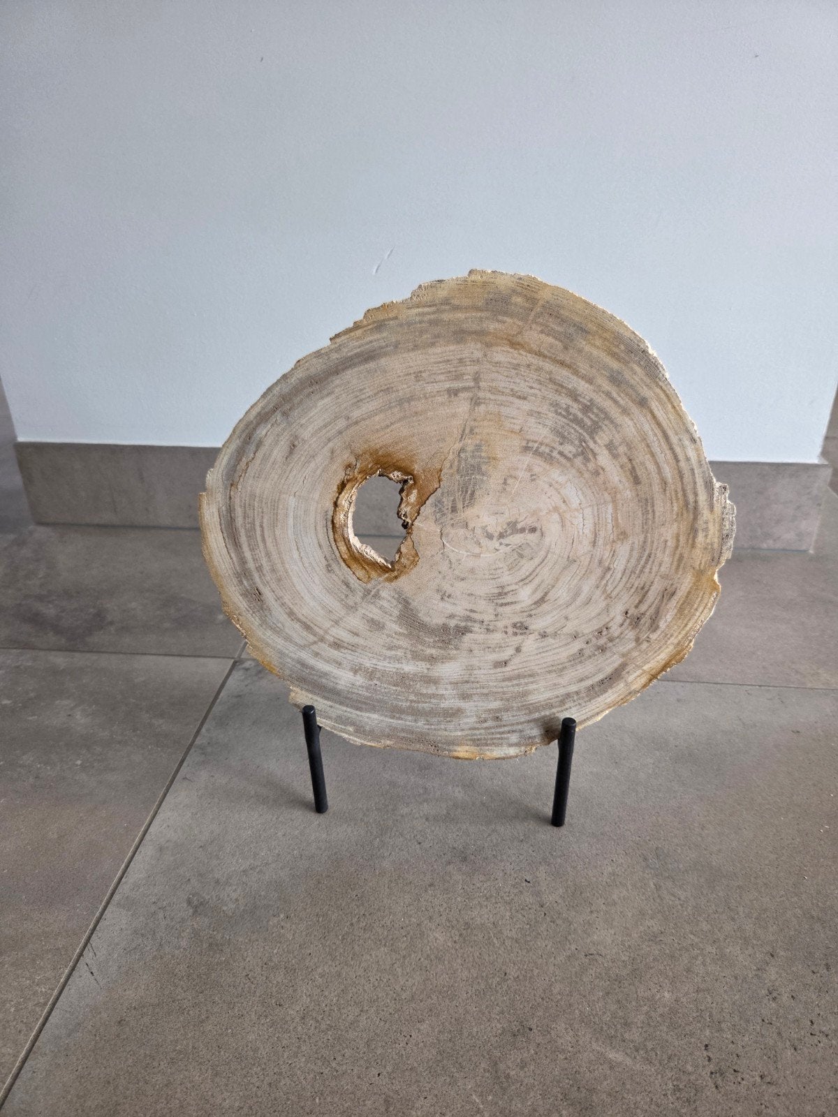 Prachtige plak versteend hout 30 x 28 op een standaard, Ophalen of Verzenden