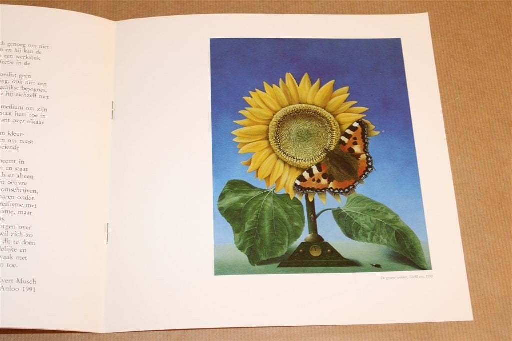 Kees Thijn — 25 Jaar Schilder [1991] — Catalogus Bronnen, Ophalen of Verzenden, Gelezen