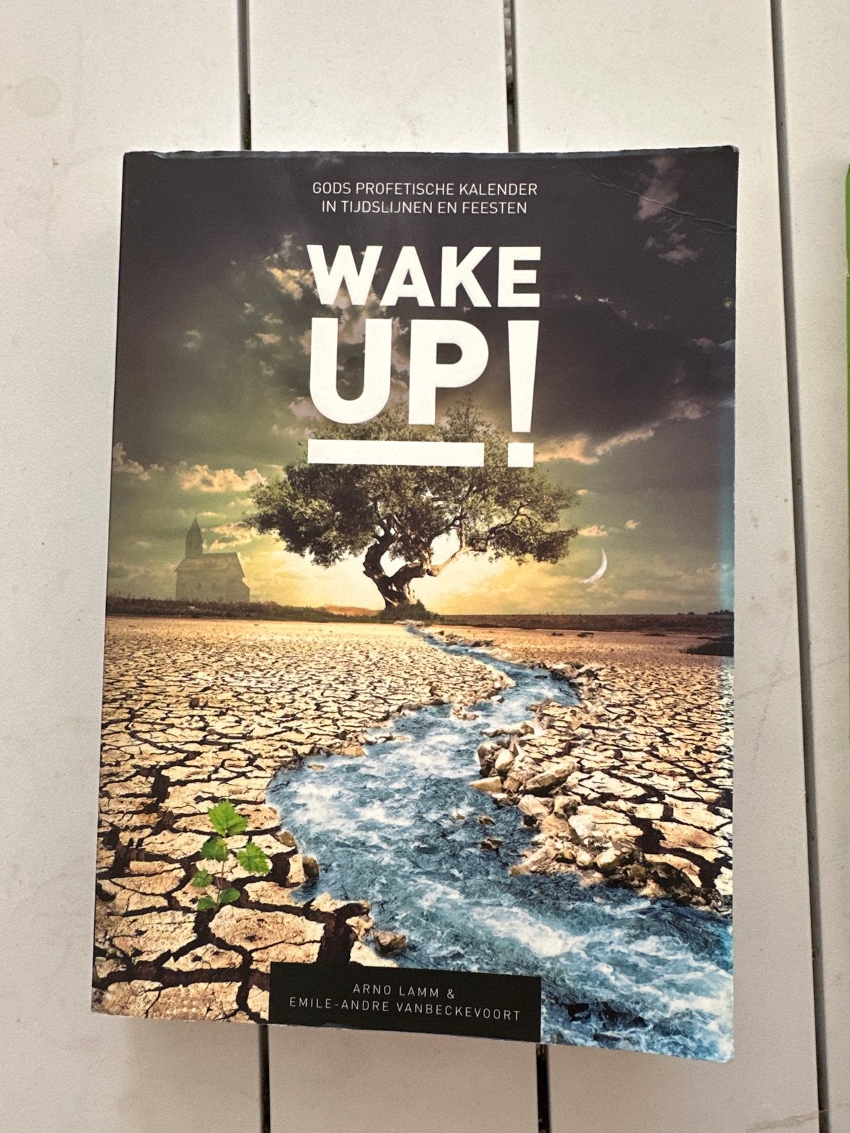 Arno Lamm - Wake up!, Ophalen of Verzenden, Gelezen, Arno Lamm; Emile-Andre Vanbeckevoort