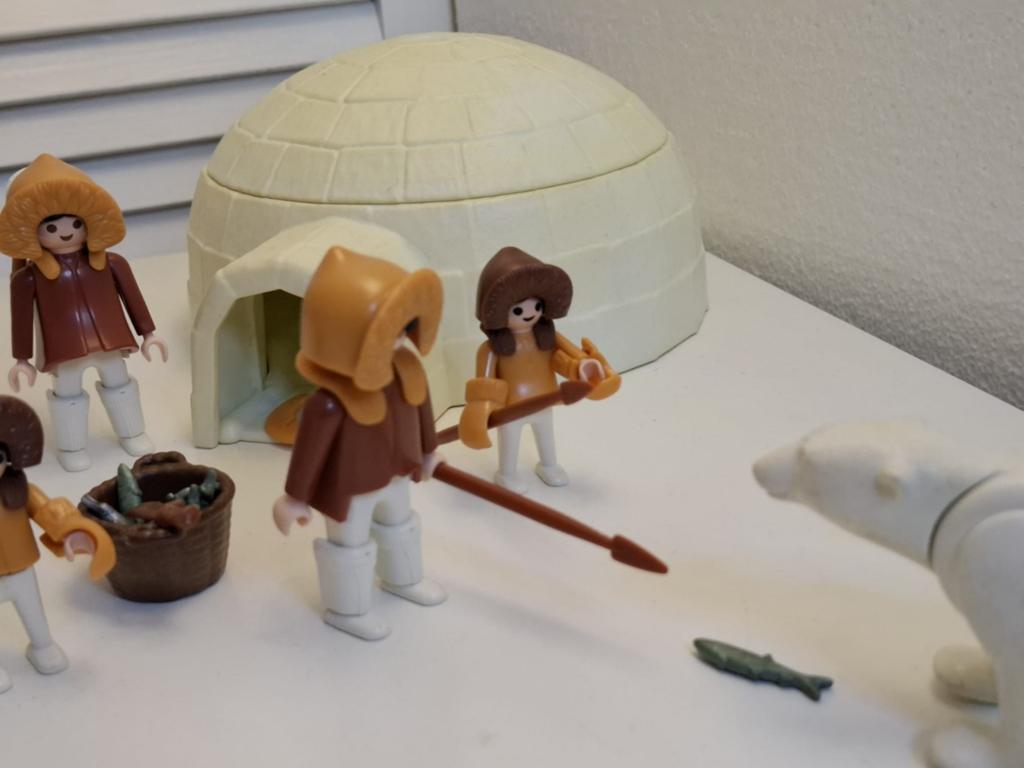 Playmobil noordpool en zuidpool, Ophalen of Verzenden
