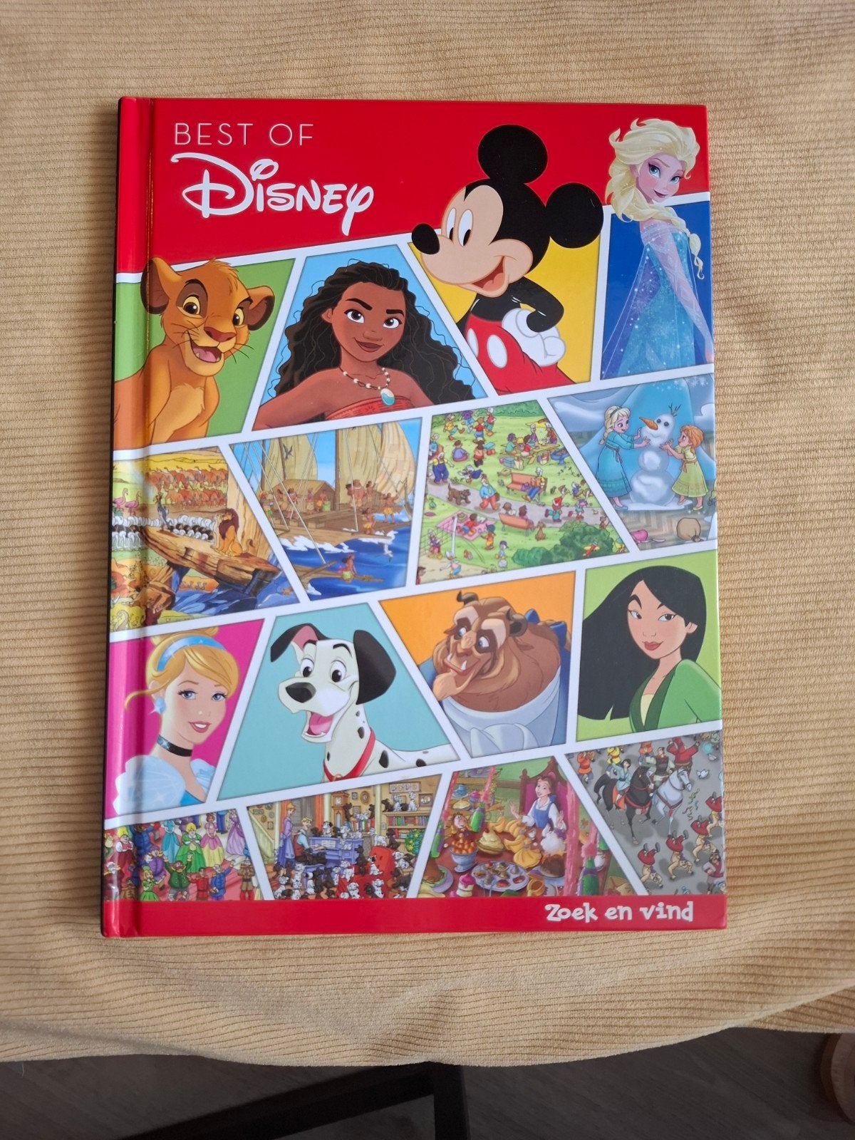 Disney Zoek en Vind Boek, Ophalen of Verzenden, Zo goed als nieuw, Plaatjesalbum