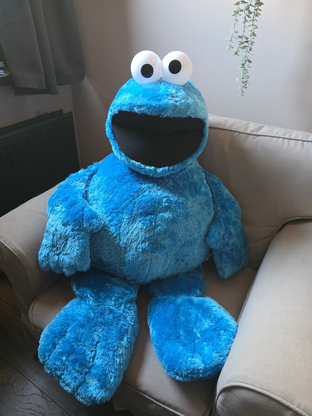 Grote Koekiemonster Pluche Knuffel - Sesamstraat, Overige merken, Overige karakters, Overige typen, Blauw
