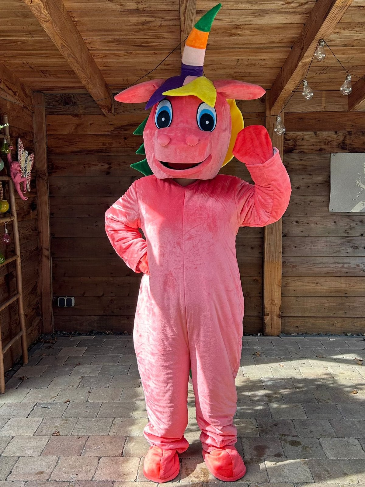 Te huur unicorn draakje/dino mascotte of opblaasbaar 30 eur, Ophalen of Verzenden, Zo goed als nieuw, Overige
