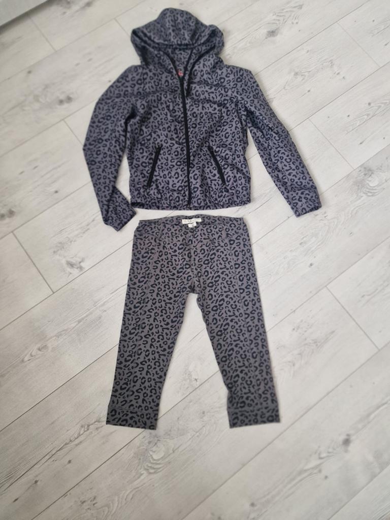 Daz Basic Leopard Print Trainingspak (Jasje & Legging), Daz, Ophalen of Verzenden, Nieuw