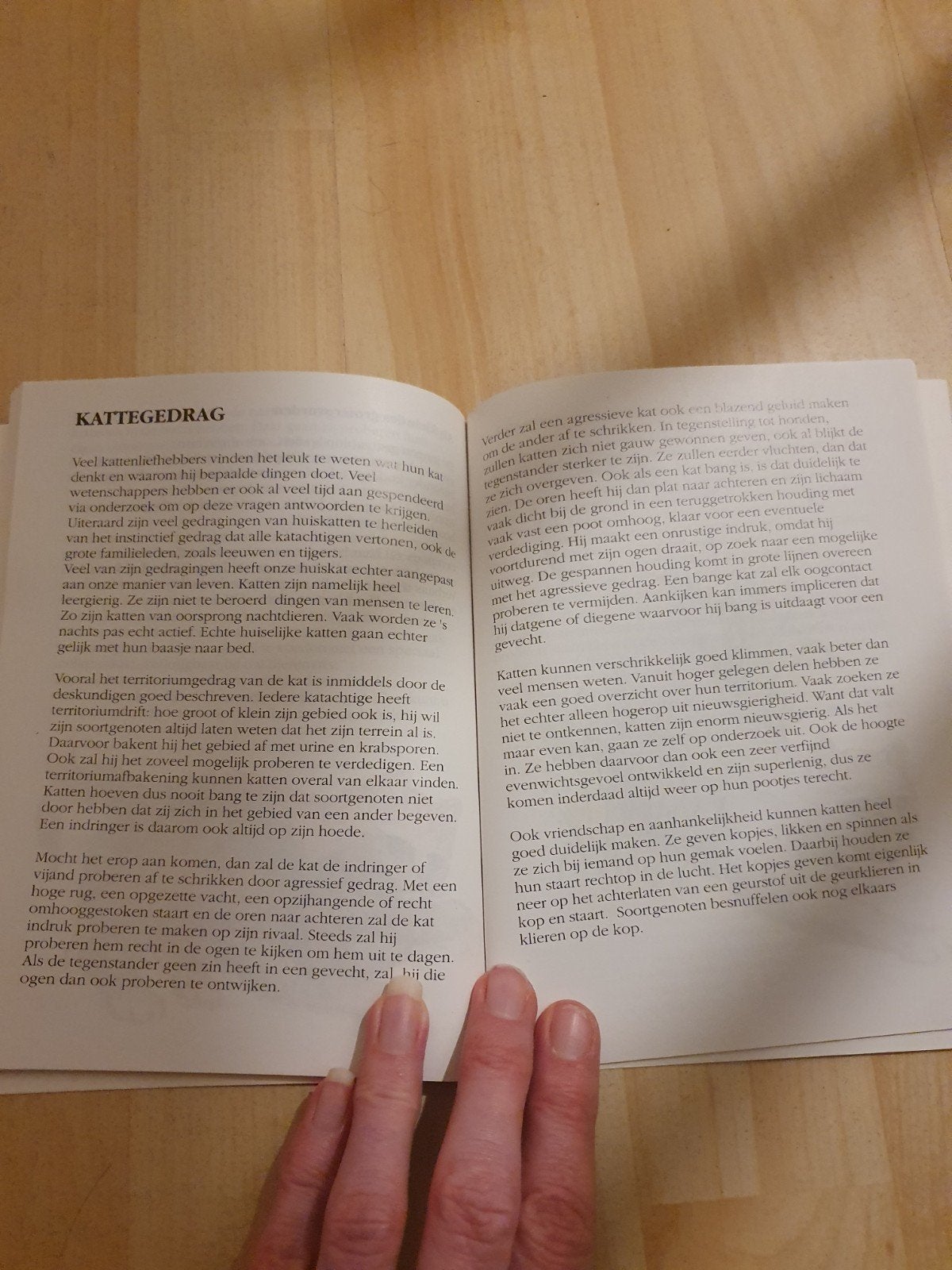 Boekje 'Tamme poezen en wilde katten'!, Ophalen of Verzenden, Gelezen, Katten