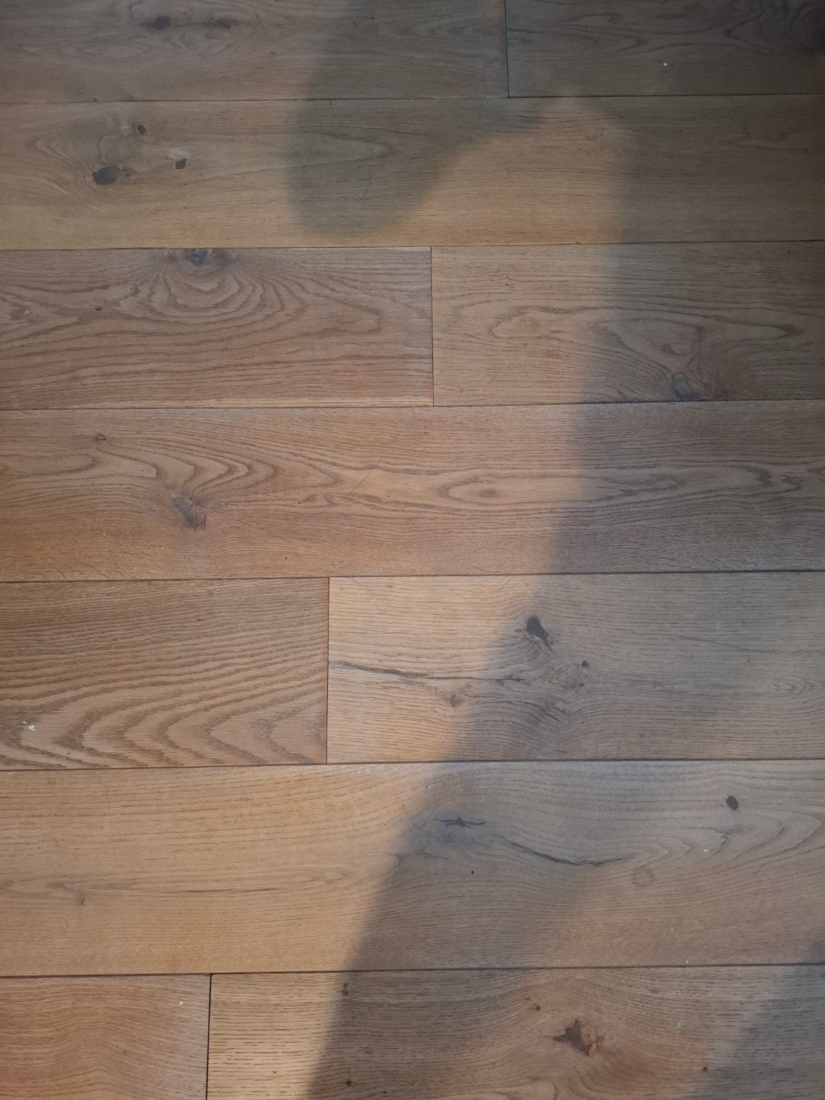 Eiken houten vloer, Ophalen, Vloerdelen of -planken, 10 m² of meer, 10 tot 30 cm