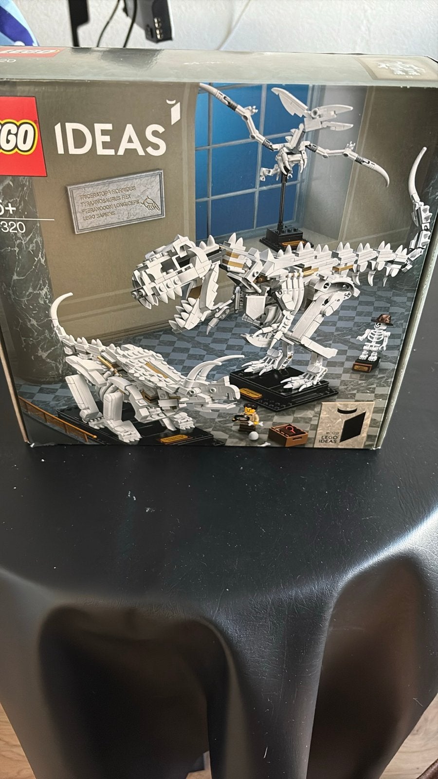 LEGO Ideas 21320 Dinosaurusfossielen - Nieuw in doos, Ophalen of Verzenden, Zo goed als nieuw, Overige merken