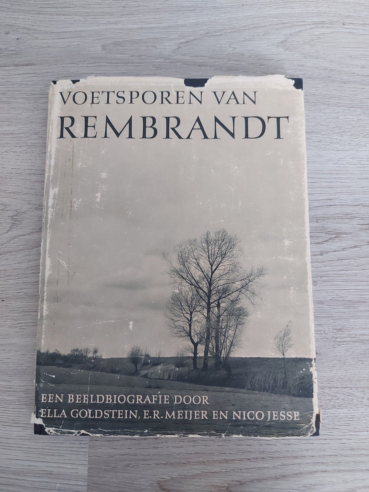 Voetsporen van Rembrandt - Een Beeldbiografie - Bruna, Boeken, Gelezen, Ella Goldstein, E.R. Meijer, Nico Jesse, Ophalen of Verzenden