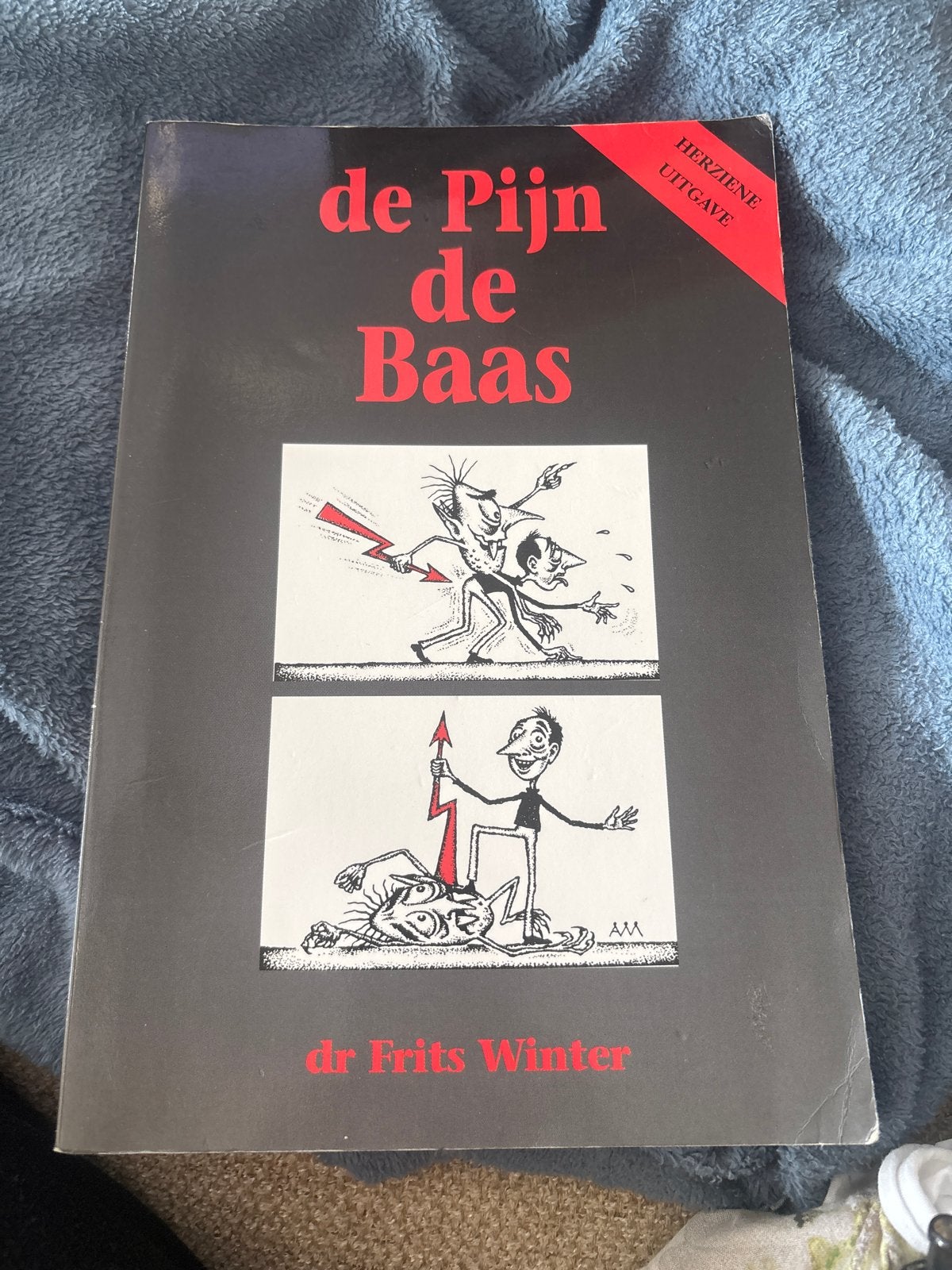 De Pijn de Baas - Dr. Frits Winter (Herziene Uitgave), Boeken, Ophalen of Verzenden, Zo goed als nieuw, Gezondheid en Conditie