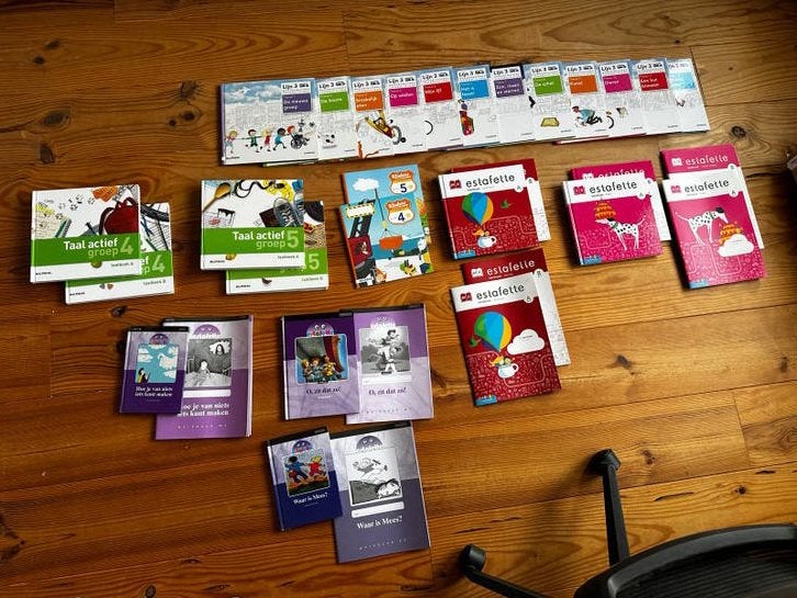 schoolboeken/thuisonderwijs: lijn 3, Taal Actief gr 4-5, Boeken, Ophalen, Gelezen, Overige niveaus, Nederlands