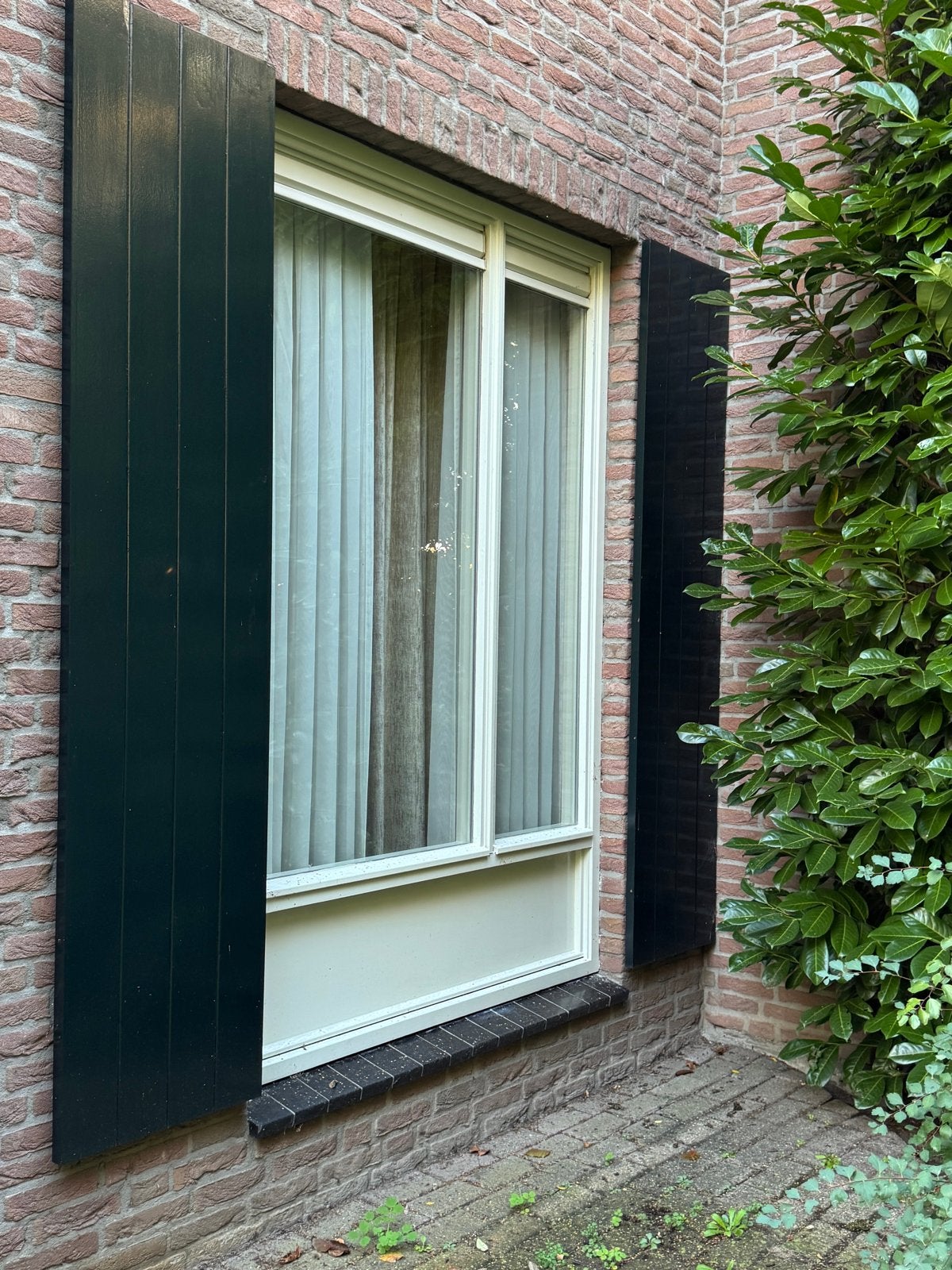 Houten luiken, diverse afmetingen, Ophalen, Gebruikt, Minder dan 80 cm, 215 cm of meer