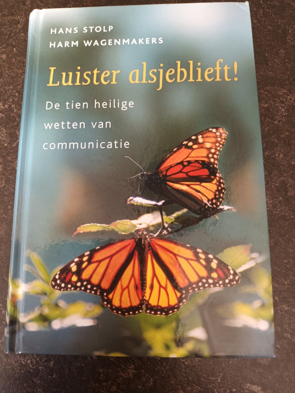 Hans Stolp en Harm Wagenmakers - Luister alsjeblieft!, Boeken, Harm Wagenmakers; Hans Stolp, Achtergrond en Informatie, Spiritualiteit algemeen
