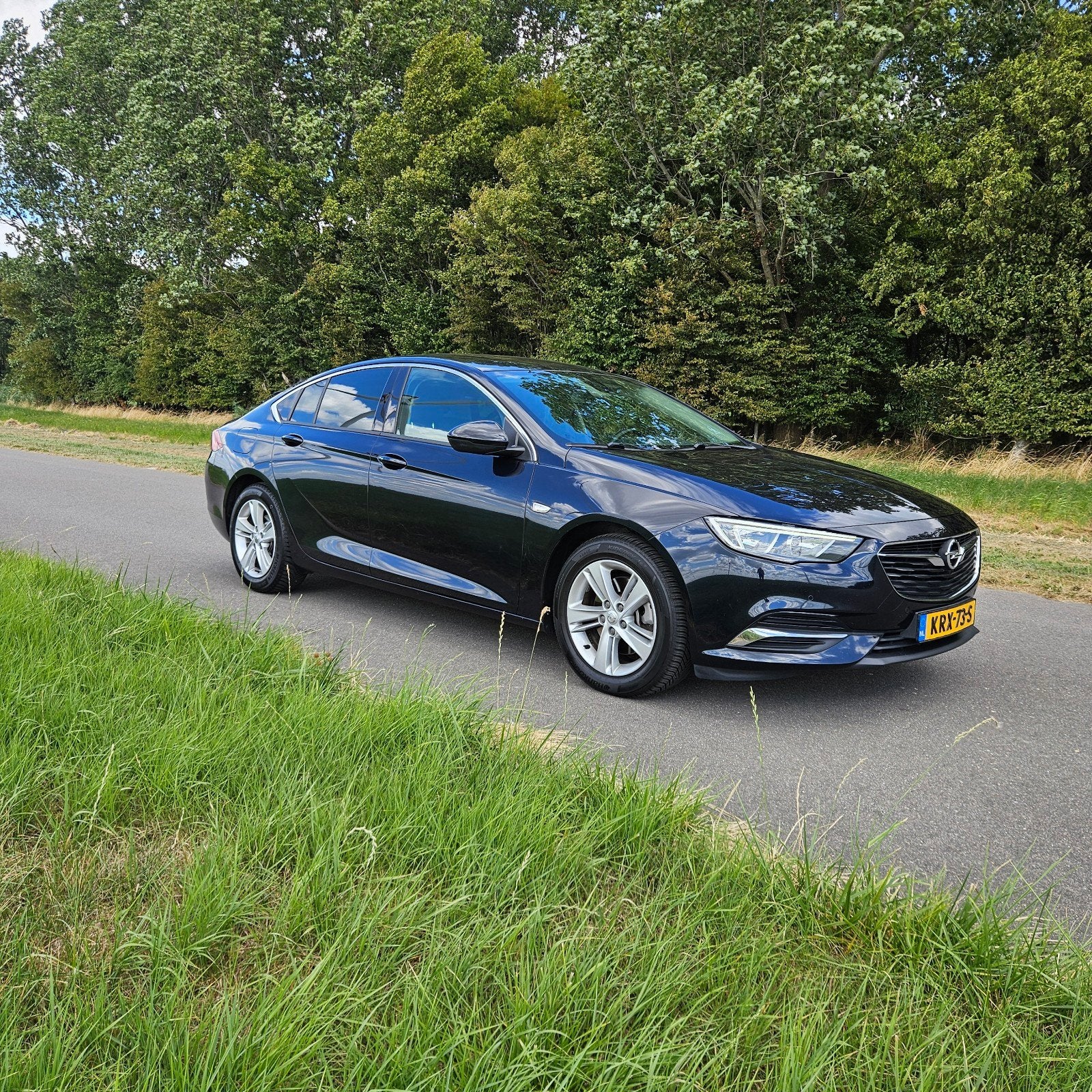 Opel Insignia 1.6 Cdti 136pk Online Edition Aut 2017 Blauw, Dealer onderhouden, Euro 6, 4 cilinders, Blauw