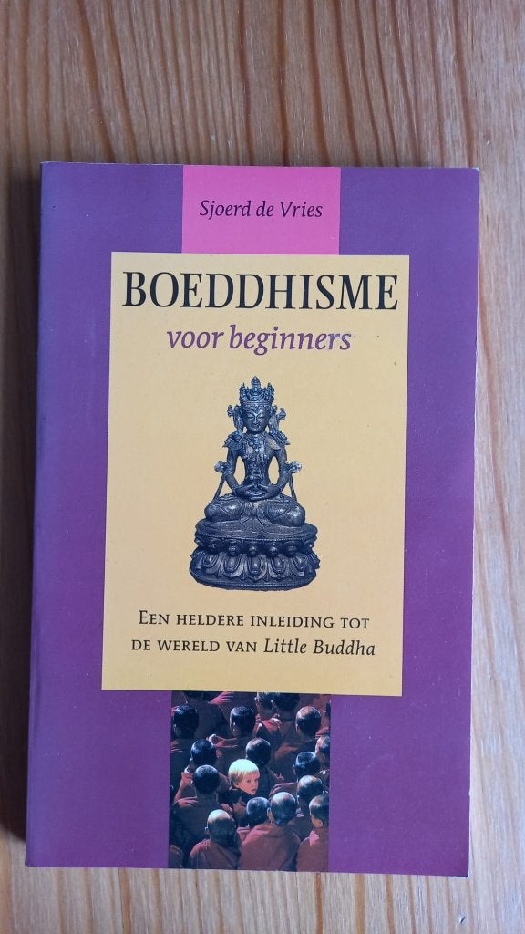 Sjoerd de Vries - Boeddhisma voor beginners, Ophalen of Verzenden, Overige typen
