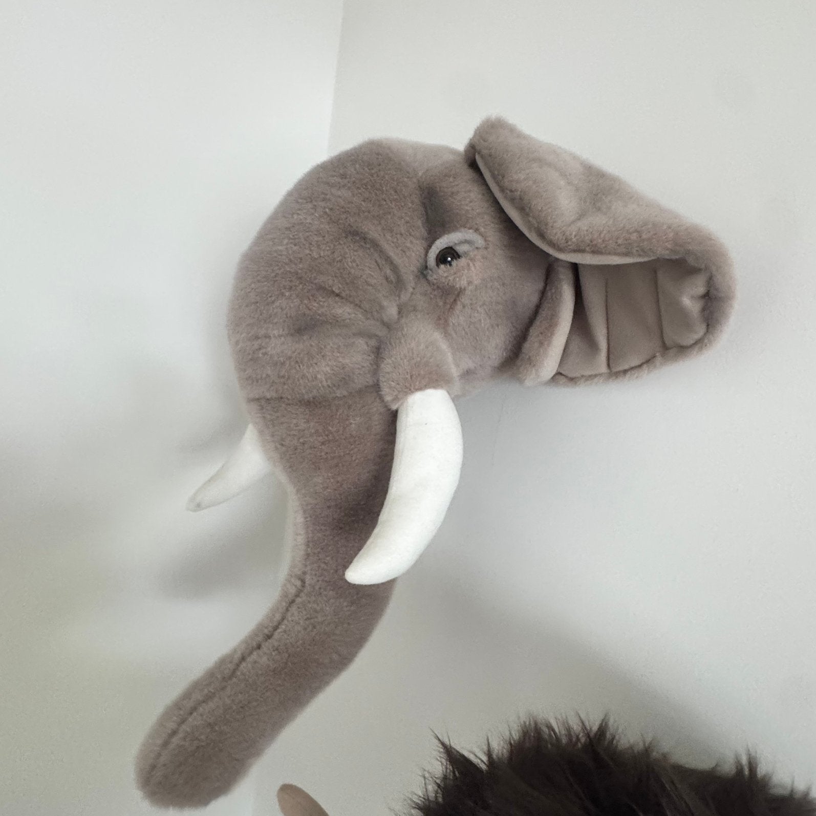 Olifant, Ophalen, Zo goed als nieuw, Wanddecoratie