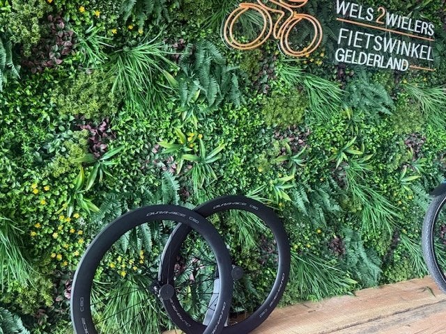 Nieuw!! dura ace C60/C50/C36 Disc, Fietsen en Brommers, Fietsonderdelen, Wiel, Nieuw, Ophalen of Verzenden, Shimano