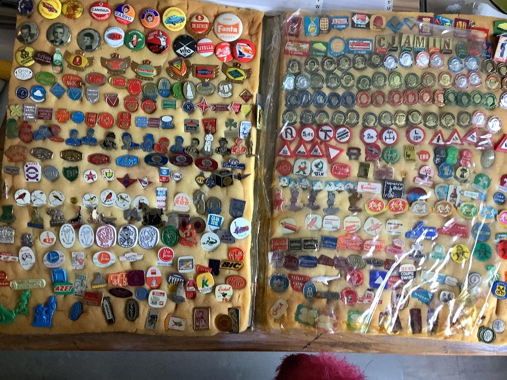 Vintage speldjes in boek, Verzamelen, Speldjes, Pins en Buttons, Ophalen of Verzenden, Zo goed als nieuw, Overige onderwerpen