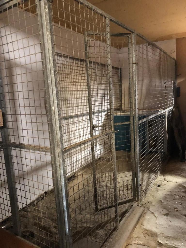 Kennel, Dieren en Toebehoren, Hondenhokken, 100 cm of meer, 110 cm of meer, Ophalen