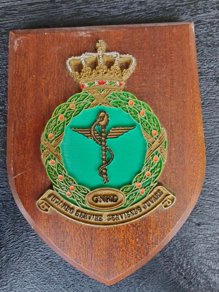 Wandbord KLu Royal Dutch Air Force Geneeskundige, Ophalen of Verzenden, Luchtmacht, Nederland, Embleem of Badge