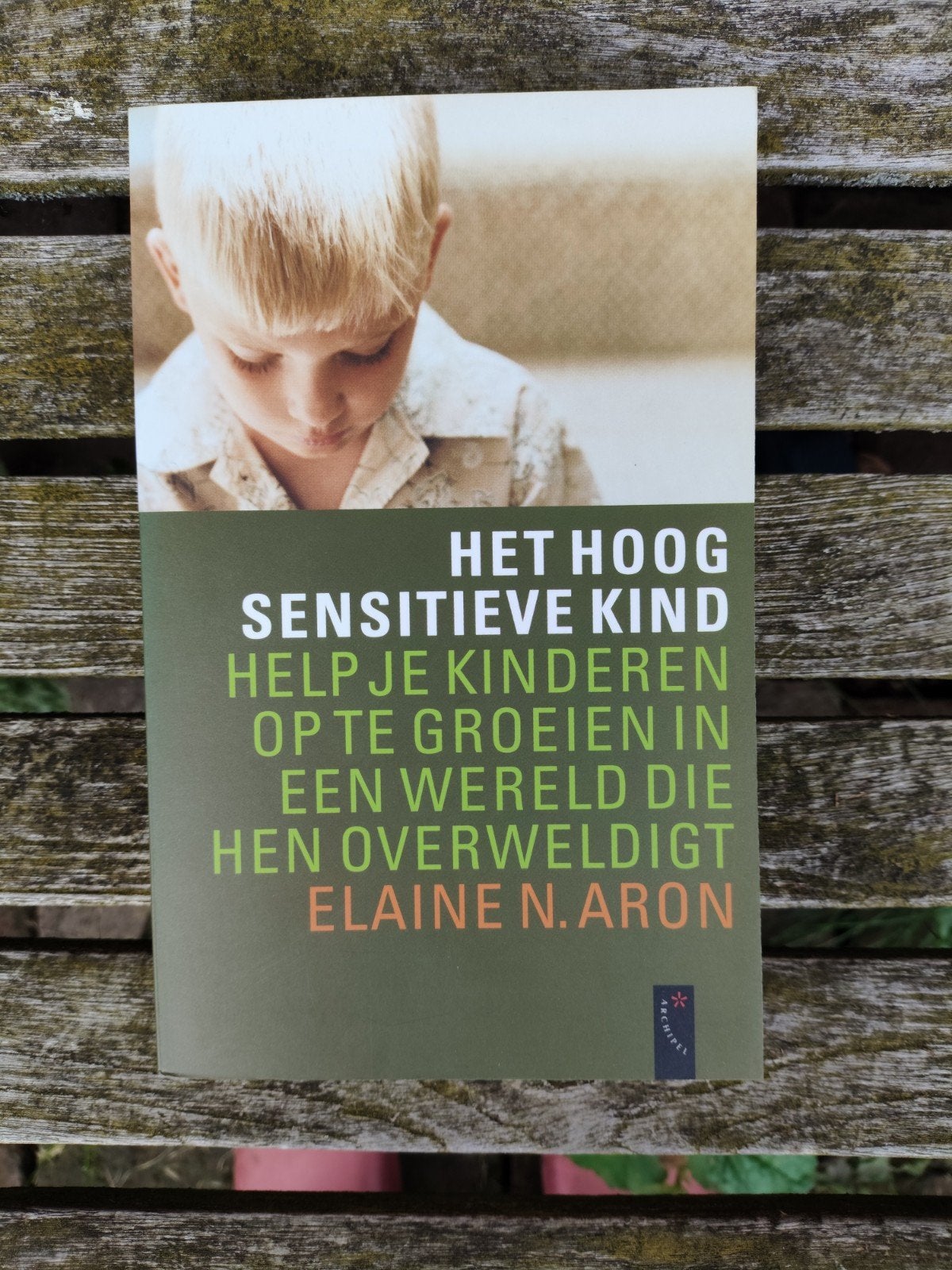 E.N. Aron - Het hoog sensitieve kind, Boeken, Ophalen of Verzenden, Zo goed als nieuw, E.N. Aron