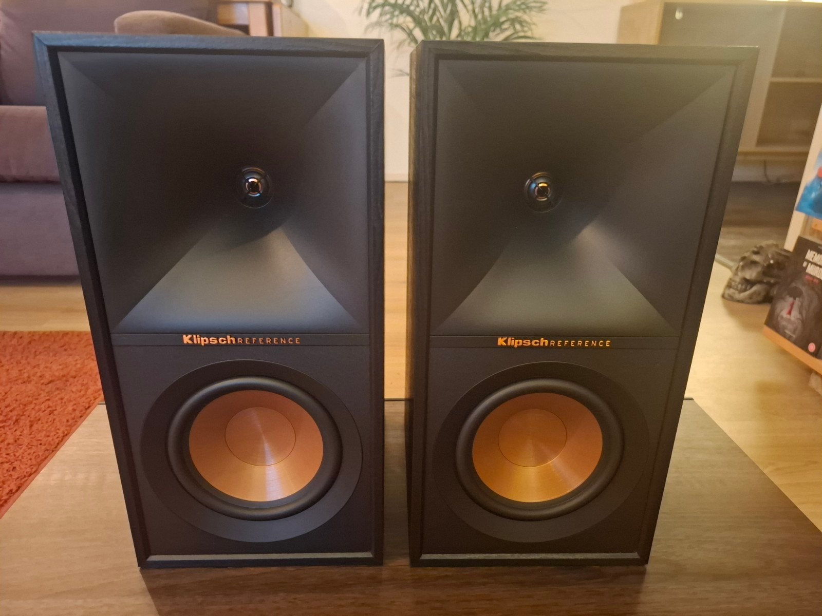 Klipsch R50M