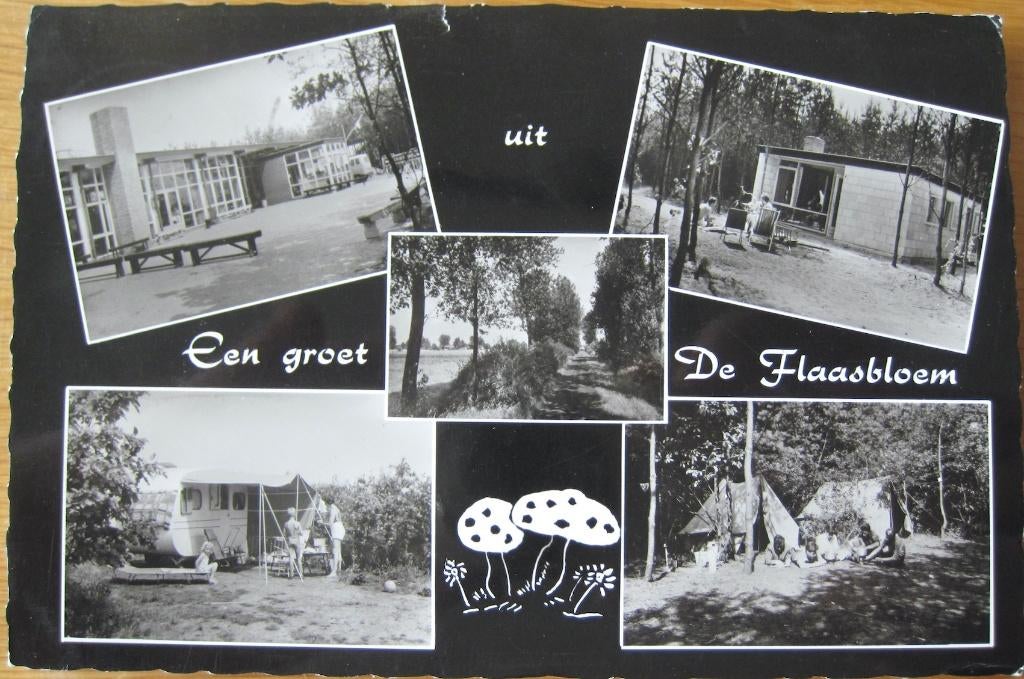 Groeten uit recreatiecentrum de Flaasbloem - 1969, Verzenden, 1960 tot 1980, Gelopen, Noord-Brabant
